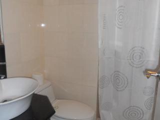 Greenbelt Excelsior Condominium Makati City Exterior photo